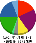 ニプロ 貸借対照表 2021年3月期 ニプロ 貸借対照表 2021年3月期