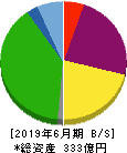 エフオン 貸借対照表 2019年6月期 エフオン 貸借対照表 2019年6月期