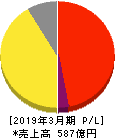 RVH 損益計算書 2019年3月期 RVH 損益計算書 2019年3月期