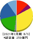 ニッポン高度紙工業 貸借対照表 2021年3月期