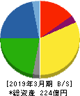 ニッポン高度紙工業 貸借対照表 2019年3月期