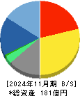 テラスカイ 貸借対照表 2024年11月期