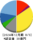 ＧＳＩ 貸借対照表 2024年12月期