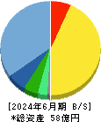 ダブルスタンダード 貸借対照表 2024年6月期 ダブルスタンダード 貸借対照表 2024年6月期