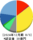 ユビキタスＡＩ 貸借対照表 2024年12月期