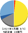 テクノマセマティカル 貸借対照表 2021年3月期 テクノマセマティカル 貸借対照表 2021年3月期