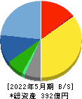 Ｅ・Ｊホールディングス 貸借対照表 2022年5月期