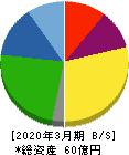 テイン 貸借対照表 2020年3月期