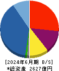 ケイアイスター不動産 貸借対照表 2024年6月期