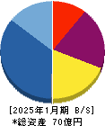 スリー・ディー・マトリックス 貸借対照表 2025年1月期