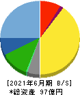 東洋ドライルーブ 貸借対照表 2021年6月期 東洋ドライルーブ 貸借対照表 2021年6月期