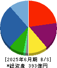アンビションＤＸホールディングス 貸借対照表 2025年6月期