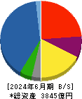 ＡＲＥホールディングス 貸借対照表 2024年6月期