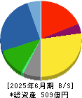歯愛メディカル 貸借対照表 2025年6月期