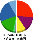 SDSホールディングス 貸借対照表 2024年6月期 SDSホールディングス 貸借対照表 2024年6月期