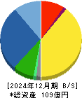 デイトナ 貸借対照表 2024年12月期 デイトナ 貸借対照表 2024年12月期
