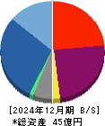 ＡＣＳＬ 貸借対照表 2024年12月期