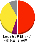 i-plug 損益計算書 2021年3月期 i-plug 損益計算書 2021年3月期