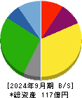 玉井商船 貸借対照表 2024年9月期