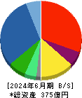 テクノホライゾン 貸借対照表 2024年6月期