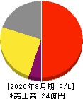 チームスピリット 損益計算書 2020年8月期 チームスピリット 損益計算書 2020年8月期