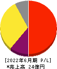 アイキューブドシステムズ 損益計算書 2022年6月期 アイキューブドシステムズ 損益計算書 2022年6月期