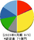 サイタホールディングス 貸借対照表 2023年6月期