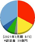 ステムセル研究所 貸借対照表 2021年3月期 ステムセル研究所 貸借対照表 2021年3月期