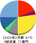 パイプドHD 貸借対照表 2020年2月期 パイプドHD 貸借対照表 2020年2月期