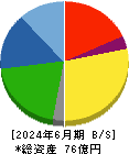 ニットー 貸借対照表 2024年6月期