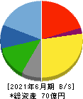 サイタホールディングス 貸借対照表 2021年6月期