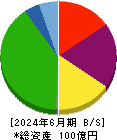 ASNOVA 貸借対照表 2024年6月期 ASNOVA 貸借対照表 2024年6月期