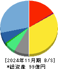 アイドマ・ホールディングス 貸借対照表 2024年11月期