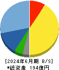 ヘリオス　テクノ　ホールディング 貸借対照表 2024年6月期