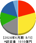 大日本塗料 貸借対照表 2024年6月期