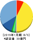鎌倉新書 貸借対照表 2019年1月期
