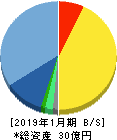 鎌倉新書 貸借対照表 2019年1月期 鎌倉新書 貸借対照表 2019年1月期