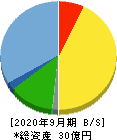 東和ハイシステム 貸借対照表 2020年9月期 東和ハイシステム 貸借対照表 2020年9月期