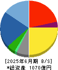 円谷フィールズホールディングス 貸借対照表 2025年6月期