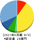 AmidAホールディングス 貸借対照表 2021年6月期 AmidAホールディングス 貸借対照表 2021年6月期