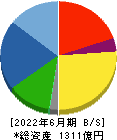 東洋建設 貸借対照表 2022年6月期