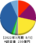 SREホールディングス 貸借対照表 2022年3月期 SREホールディングス 貸借対照表 2022年3月期