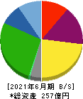 東京テアトル 貸借対照表 2021年6月期