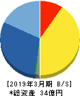 エムティジェネックス 貸借対照表 2019年3月期 エムティジェネックス 貸借対照表 2019年3月期