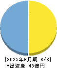 ノイルイミューン・バイオテック 貸借対照表 2025年6月期