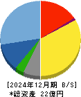 エスネットワークス 貸借対照表 2024年12月期 エスネットワークス 貸借対照表 2024年12月期