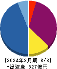 ロードスターキャピタル 貸借対照表 2024年3月期
