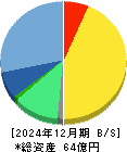 コンフィデンス・インターワークス 貸借対照表 2024年12月期