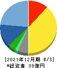 シリウスビジョン 貸借対照表 2021年12月期 シリウスビジョン 貸借対照表 2021年12月期