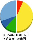 ジャパン・ティッシュエンジニアリング 貸借対照表 2024年3月期